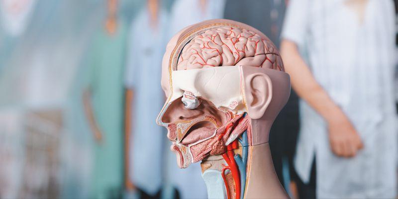 Neurosurgery in India