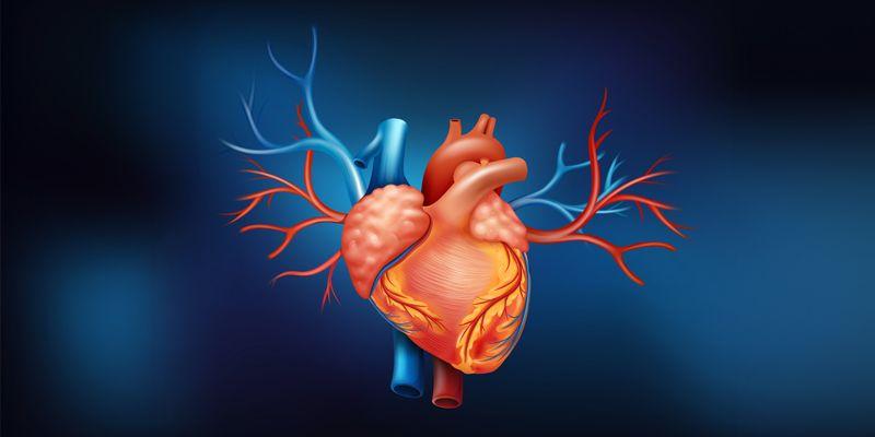 Cardiology Treatment in India
